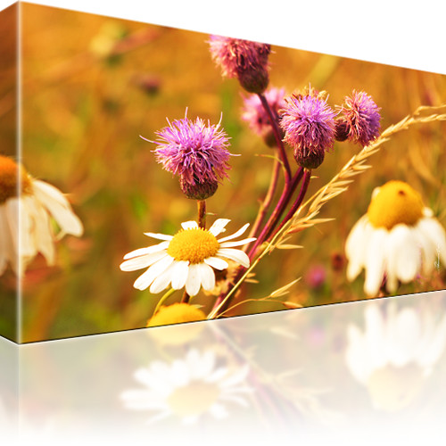 Blumen Kamille Bilder Keilrahmenbild Leinwand - Bild 2 von 16