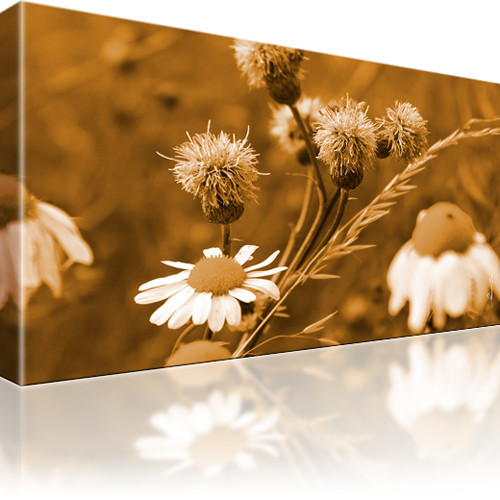 Blumen Kamille Bilder Keilrahmenbild Leinwand - Bild 3 von 16