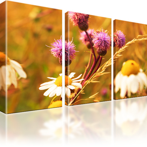 Blumen Kamille Bilder Keilrahmenbild Leinwand - Bild 5 von 16