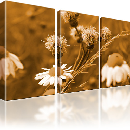 Blumen Kamille Bilder Keilrahmenbild Leinwand - Bild 6 von 16
