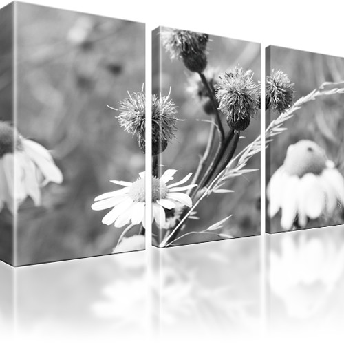Blumen Kamille Bilder Keilrahmenbild Leinwand - Bild 7 von 16