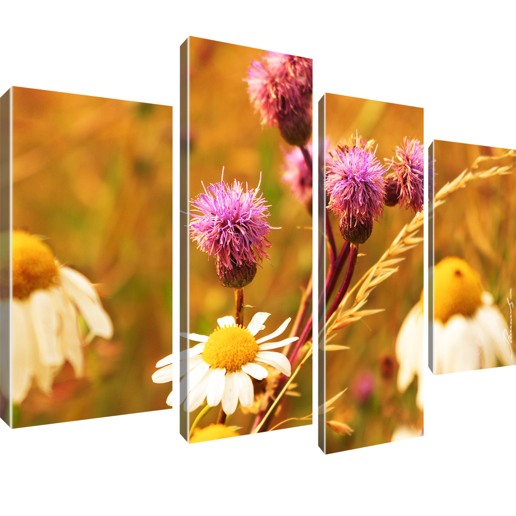 Blumen Kamille Bilder Keilrahmenbild Leinwand - Bild 8 von 16
