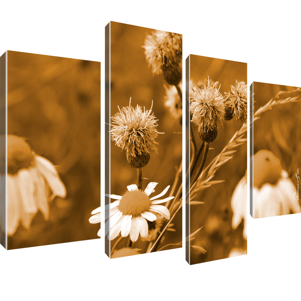 Blumen Kamille Bilder Keilrahmenbild Leinwand - Bild 9 von 16