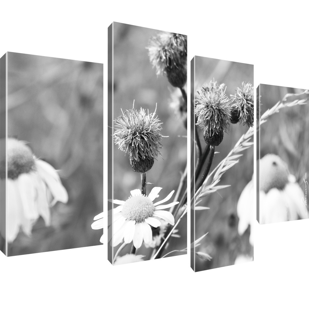 Blumen Kamille Bilder Keilrahmenbild Leinwand - Bild 10 von 16
