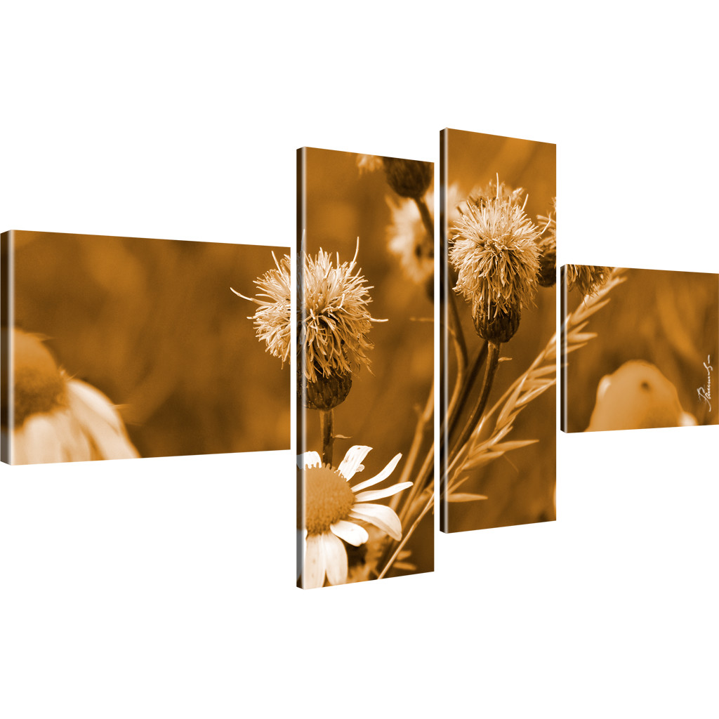 Blumen Kamille Bilder Keilrahmenbild Leinwand - Bild 12 von 16