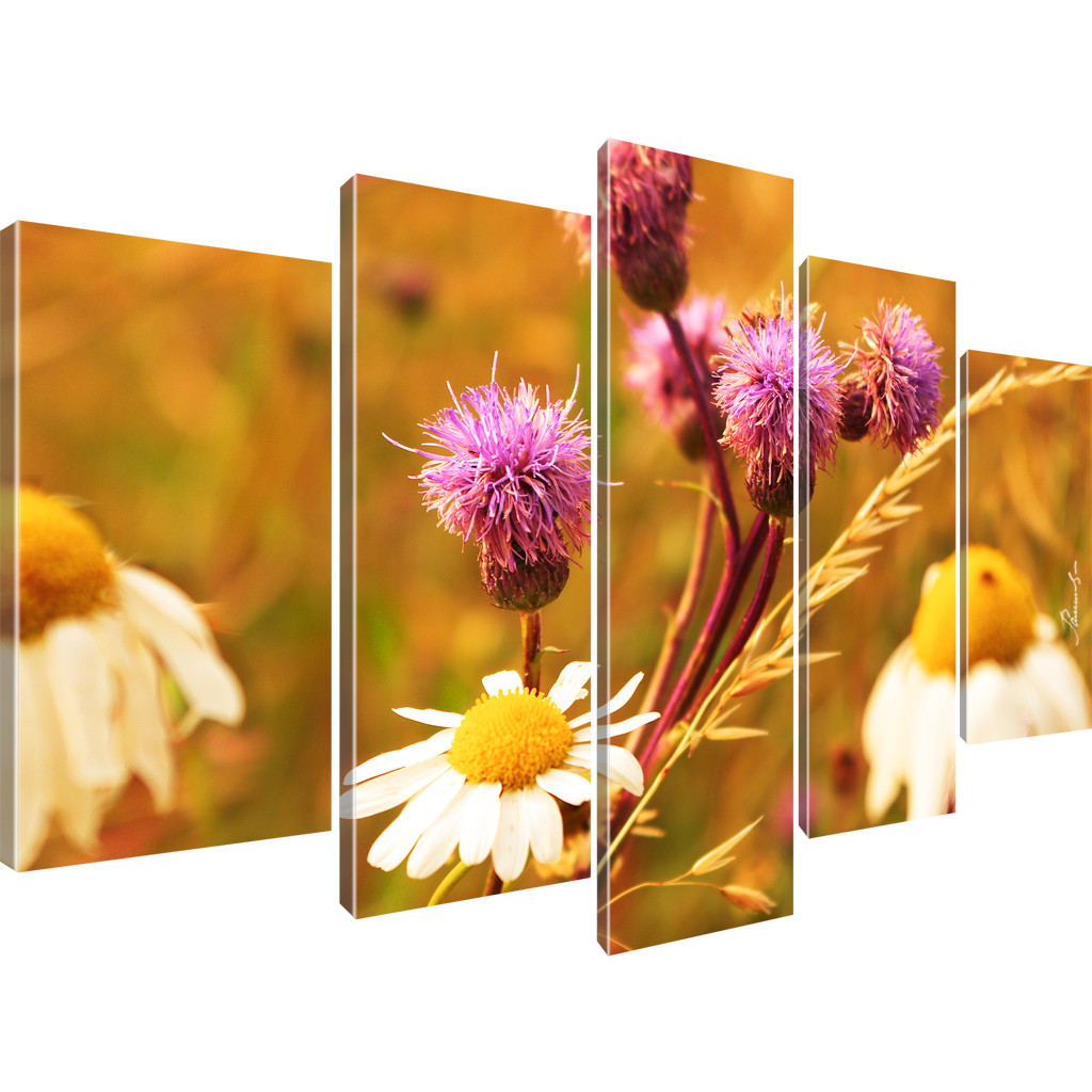 Blumen Kamille Bilder Keilrahmenbild Leinwand - Bild 14 von 16