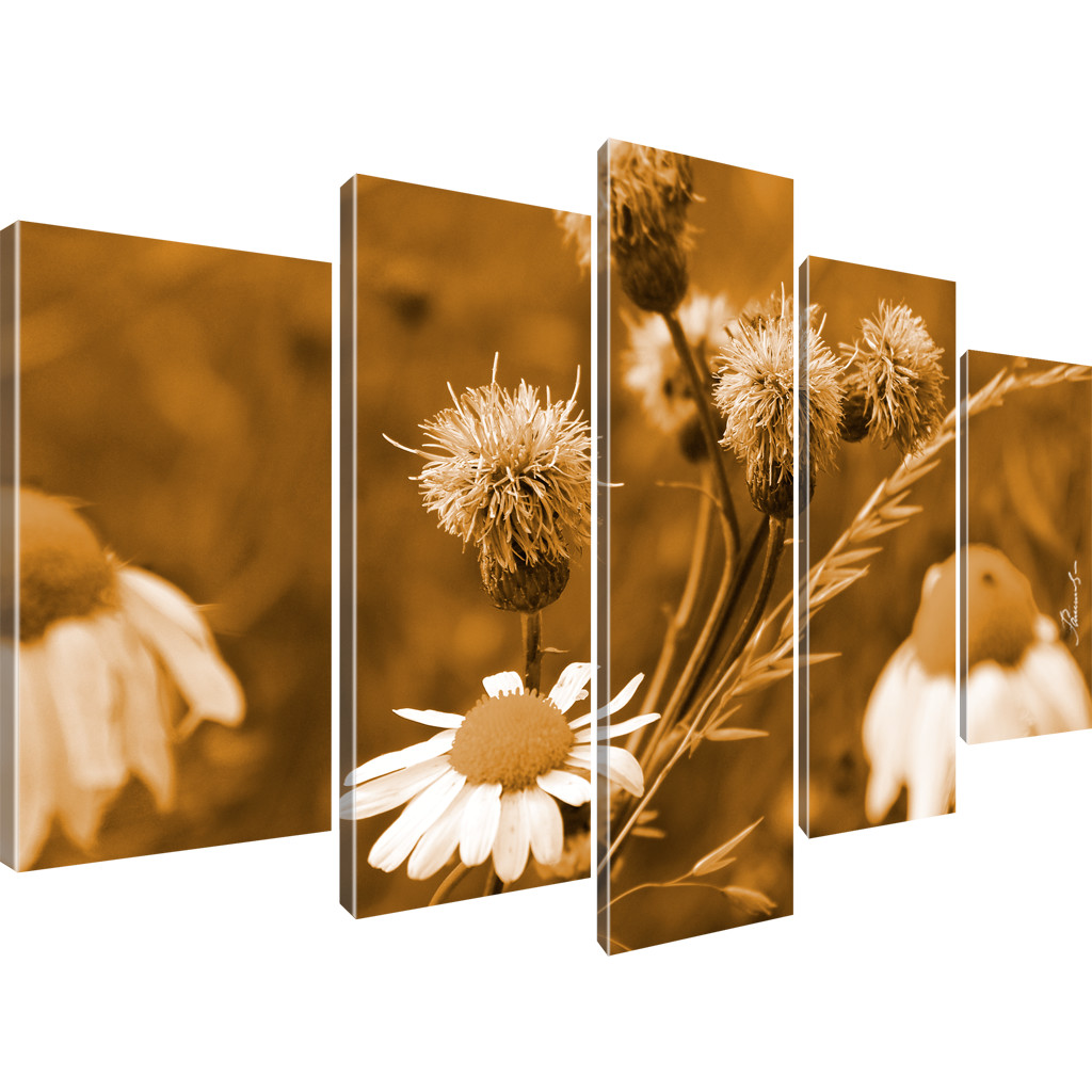 Blumen Kamille Bilder Keilrahmenbild Leinwand - Bild 15 von 16